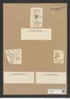 Triceratium rotundatum Grev. (de-Toni-Nr.: Genus 140, Species 3974) Zeichnungen Sammlung Grunow Nr. 7447 (NHMW-BOT-W0376536)
